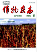 馬鈴薯病毒病影響因素及抗病辦法