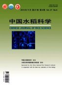 水稻壯秧劑的發(fā)苗情況及病害