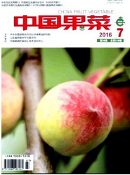 中國果菜
