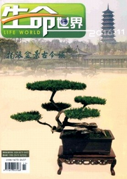 生命世界