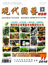 現代園藝