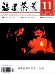 福建茶葉