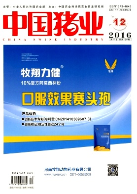 中國豬業