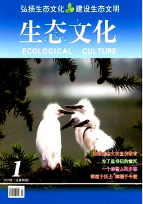 生態(tài)文化