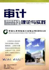 審計(jì)理論與實(shí)踐