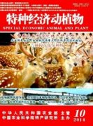 花卉養生銷售的的生存空間分析