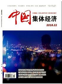 中國集體經(jīng)濟(jì)