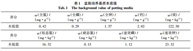 biao1