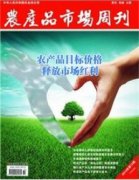 農產品走入電商平臺的實踐研究