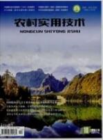 中學網絡教育論文