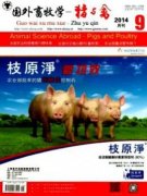 基層畜牧獸醫(yī)動(dòng)物防疫工作的重點(diǎn)