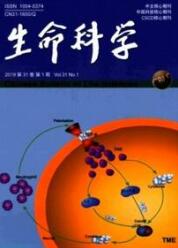 生物工程論文