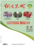 如何做好現代農業植物保護工作探究