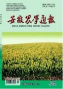 發展型社會政策與農村低保家庭的可持續生計