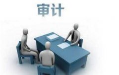 商業(yè)銀行大數(shù)據(jù)審計(jì)的應(yīng)用模式體系