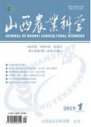 浙江省糧食安全問題對策研究