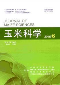 玉米科學(xué)
