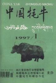 中國耗牛