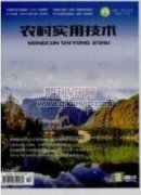 大數(shù)據(jù)助力鄉(xiāng)村振興的探索與實(shí)踐