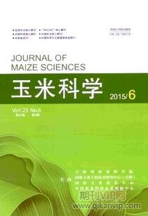 玉米科學