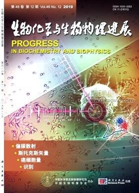 生物化學論文