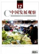 中國的開放式發展及其主要形式
