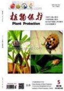 玉米田間關鍵因素對草地貪夜蛾性誘效果的影響