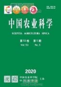 玉米及經濟作物生產技術建議