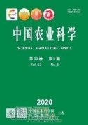 昭陽區休閑農業發展模式淺析