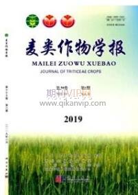 統計論文發表