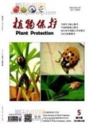 紫云英高效栽培技術(shù)