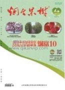 72份西北春玉米品種對絲黑穗病的抗性鑒定與評價