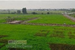 河南省農業發展中的資源環境問題研究