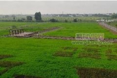 巖土工程深基坑支護施工技術