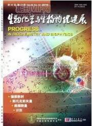生物工程論文