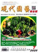 園林施工規劃及施工細節處理