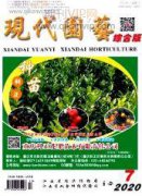 城市道路綠化景觀園林設(shè)計(jì)及施工要點(diǎn)探析