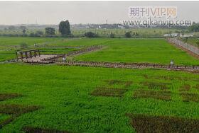 生態(tài)環(huán)境論文