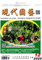 環境工程論文