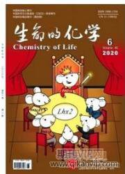 林業工程師論文