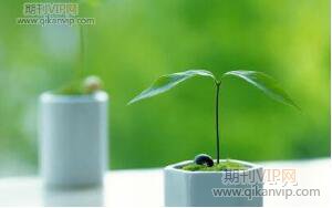 生物教學(xué)論文