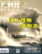 壓電風扇散熱特性的數值實驗研究