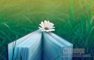 社區(qū)管理參考文獻