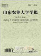 鄉土材料在傳統村落景觀設計中的創新應用探析
