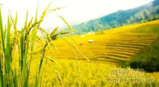 旅游管理論文