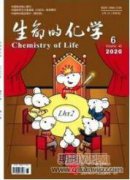 豆瓣綠矮化技術及其在微景觀中的應用研究