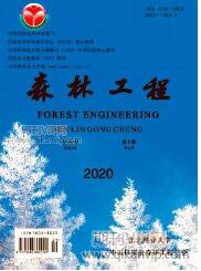 橋梁工程論文