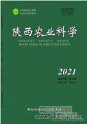 發(fā)展優(yōu)質(zhì)高粱種植助力產(chǎn)業(yè)扶貧