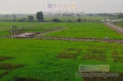 澳洲堅果青皮總酚的超聲輔助提取及純化