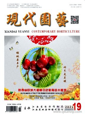 現代園藝